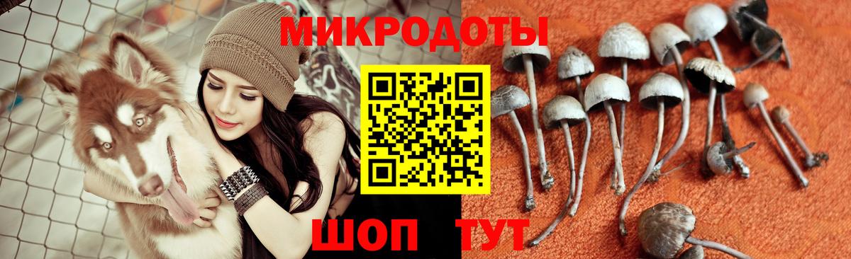 Йошкар-Ола  Галлюциногенные грибы мухоморы  Вход с VPN 